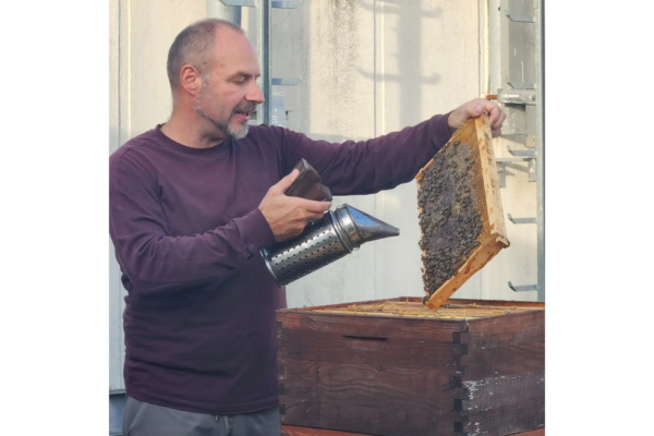 Čebelarjenje v mestih nekoč in danes – Gorazd Trušnovec