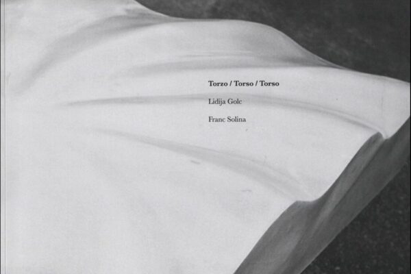Lidija Golc – Torzo